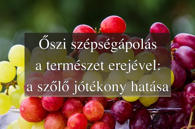Őszi szépségápolás a természet erejével: a szőlő jótékony hatása